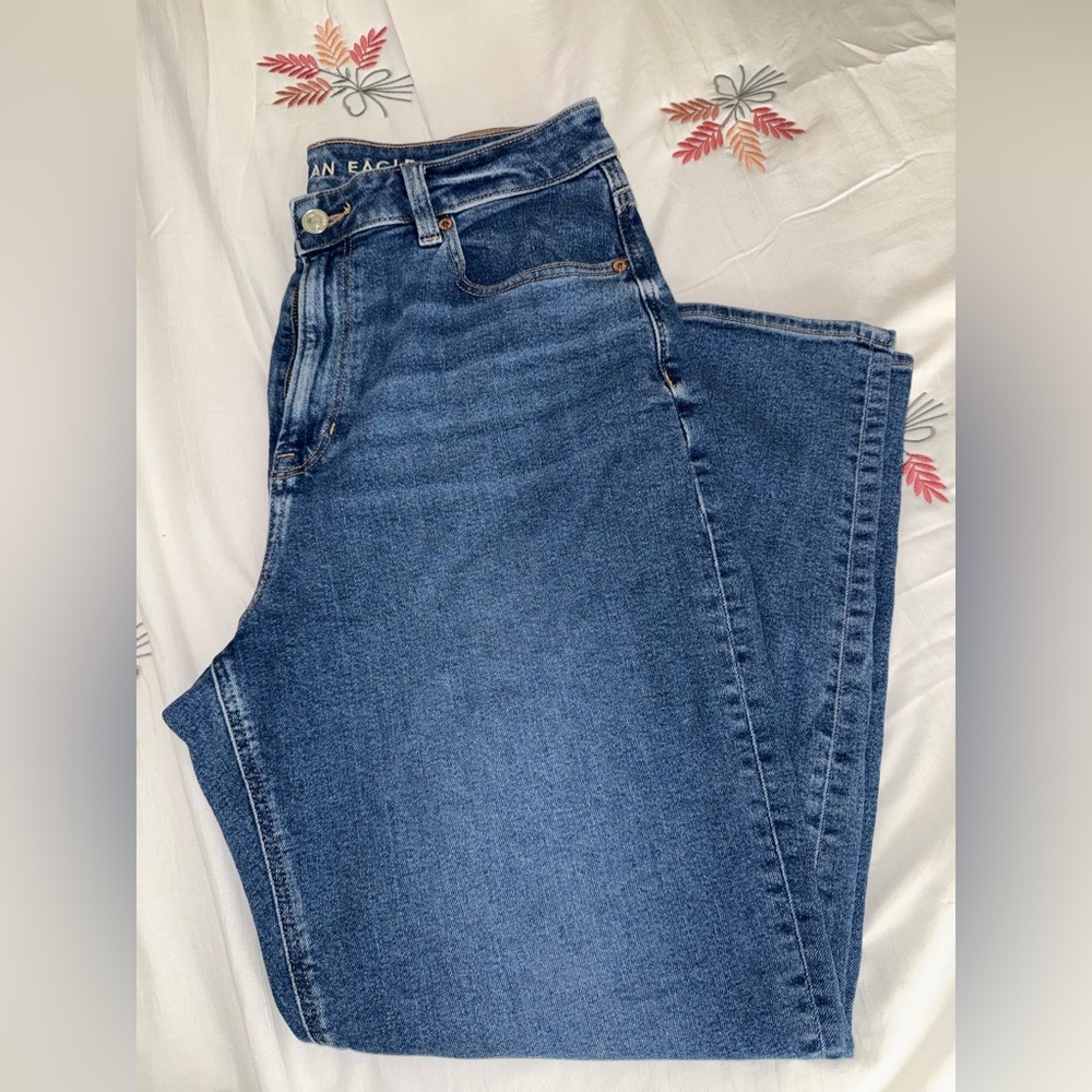 American Eagle Outfitters Classic Blue Mom Jeans